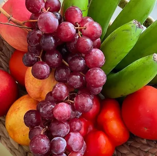 Househelen Apartment San Miguel de Abona