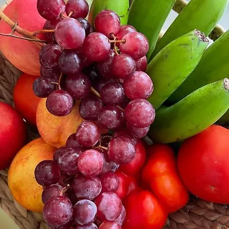 Casa Helen 2 Tenerife Sur Apartmán San Miguel de Abona