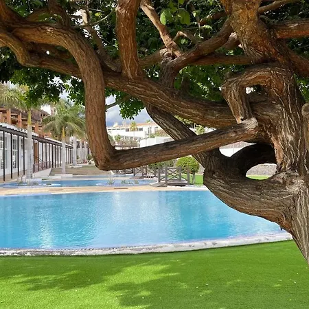 Casa Helen 2 Tenerife Sur Apartmán San Miguel de Abona